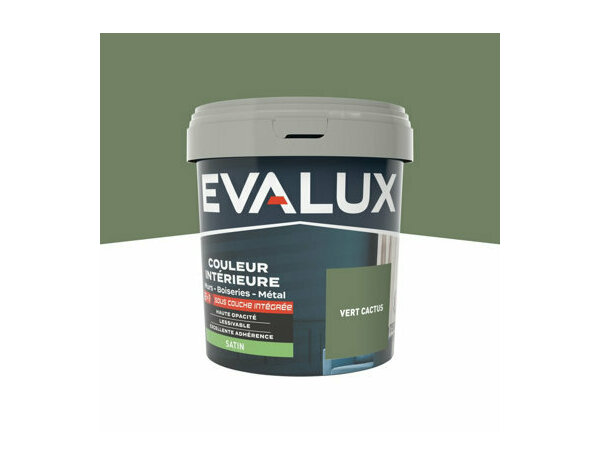 Peinture Vert cactus 0l75 satin 2en1 - Evalux - Brico Dépôt