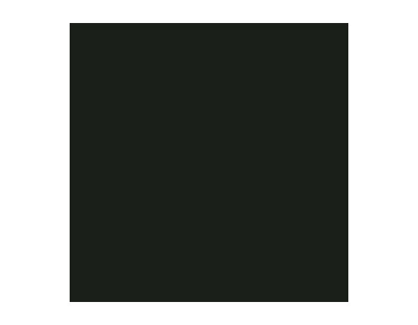 Peinture Noir 0l75 velours 2 en 1 - Evalux - Brico Dépôt