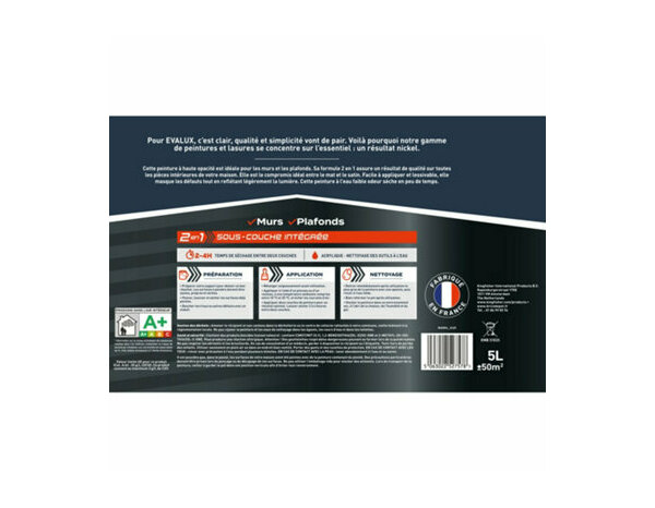 Peinture Blanc 5l velours 2 en 1 - Evalux - Brico Dépôt