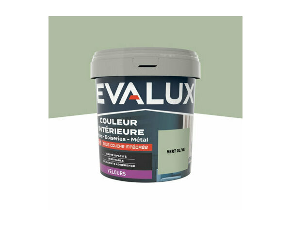 Peinture Vert olive 0l75 velours  2en1 - Evalux - Brico Dépôt