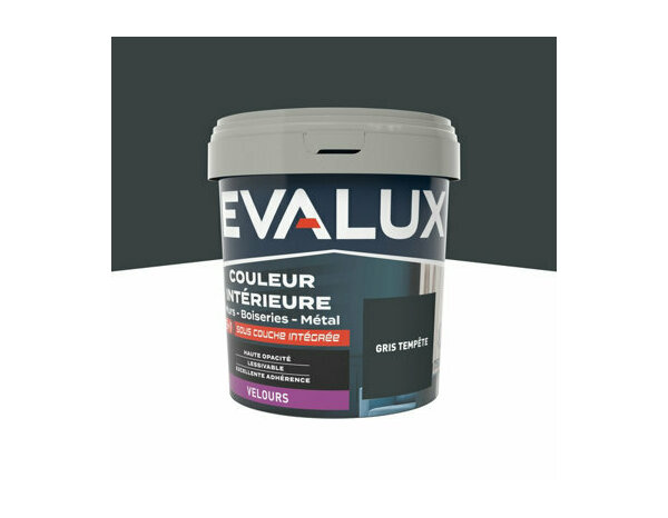 Peinture Gris tempete 0l75 velours 2en1 - Evalux - Brico Dépôt
