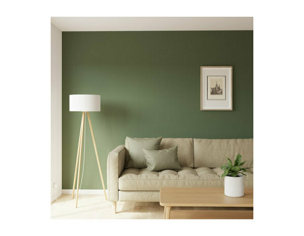 Peinture Vert cactus 2l5 velours 2en1 - Evalux - Brico Dépôt