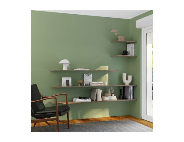 Peinture Vert cactus 2l5 velours 2en1 - Evalux - Brico Dépôt