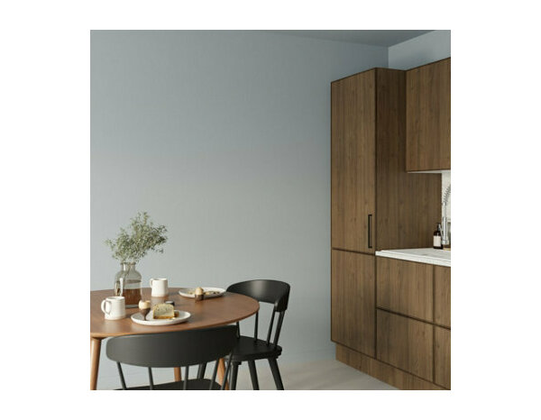 Peinture Gris argent 0l75 satin c&b - Evalux - Brico Dépôt