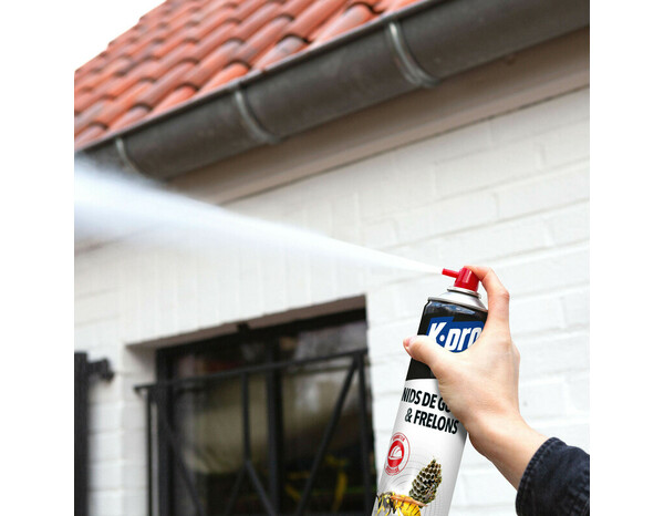 Aérosol Spécial Nids de Guêpes & Frelons – 750 ml - Brico Dépôt
