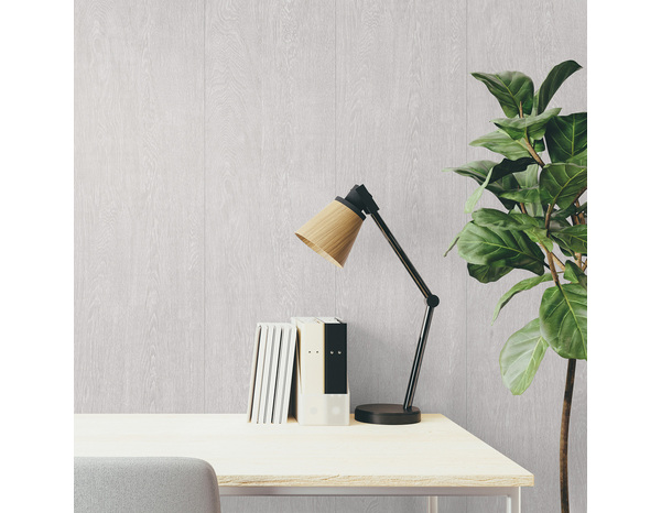 Panneau mural PVC gris mat KIGOMA pour murs et plafonds - 260 cm x 37,5 cm x 0,8 cm - Brico Dépôt