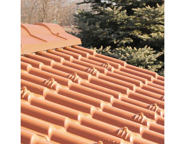  Plaque de couverture en PVC Francia couleur Terre Naturelle, 2300×780 mm - First - Brico Dépôt