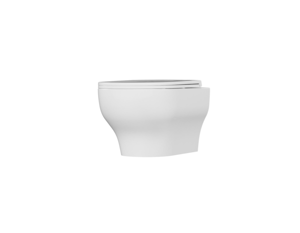 Cuvette WC suspendue céramique carénée sans rebord et vortex CALICIA 35 x 36 x 53 cm - Cooke and Lewis - Brico Dépôt