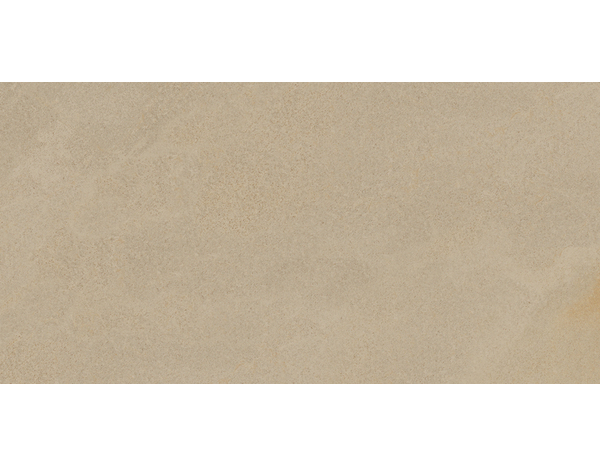 Carrelage extérieur grès cérame émaillé beige R10 - 31 x 62 cm - Brico Dépôt