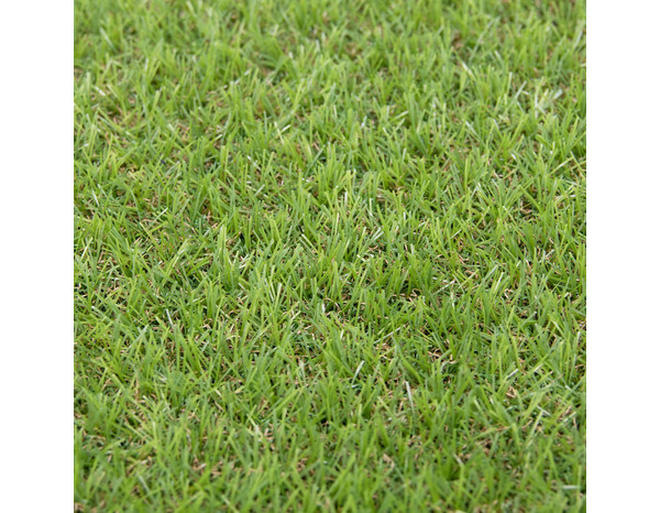 Gazon artificiel vert fibres 25 mm drainage rapide 1 x 4 m - Brico Dépôt
