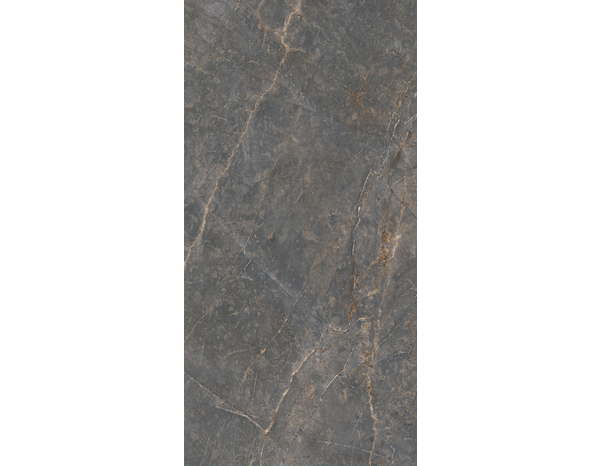 Carrelage sol intérieur grès cérame émaillé gris naturel aspect marbre SUPREME 60 x 120 cm - Brico Dépôt