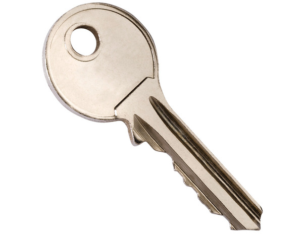 Cylindre en laiton pour porte et porte-fenêtre 40 x 50 mm - Brico Dépôt