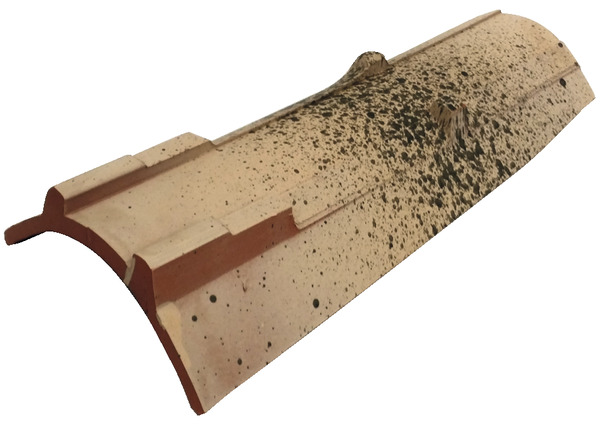 Tuile à tenons CANAL hispania Ep. 50 mm - La Escandella - Brico Dépôt