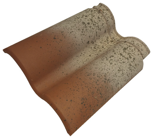 Double-tuile TAMARIS hispania Ep. 73 mm - Brico Dépôt