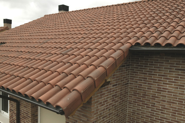 Tuile Tamaris rouge jaspé Ép. 73 mm - 441 x 263 x 73 mm - Brico Dépôt