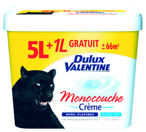 Peinture blanche pour mur & plafond - Blanc mat & satiné ...